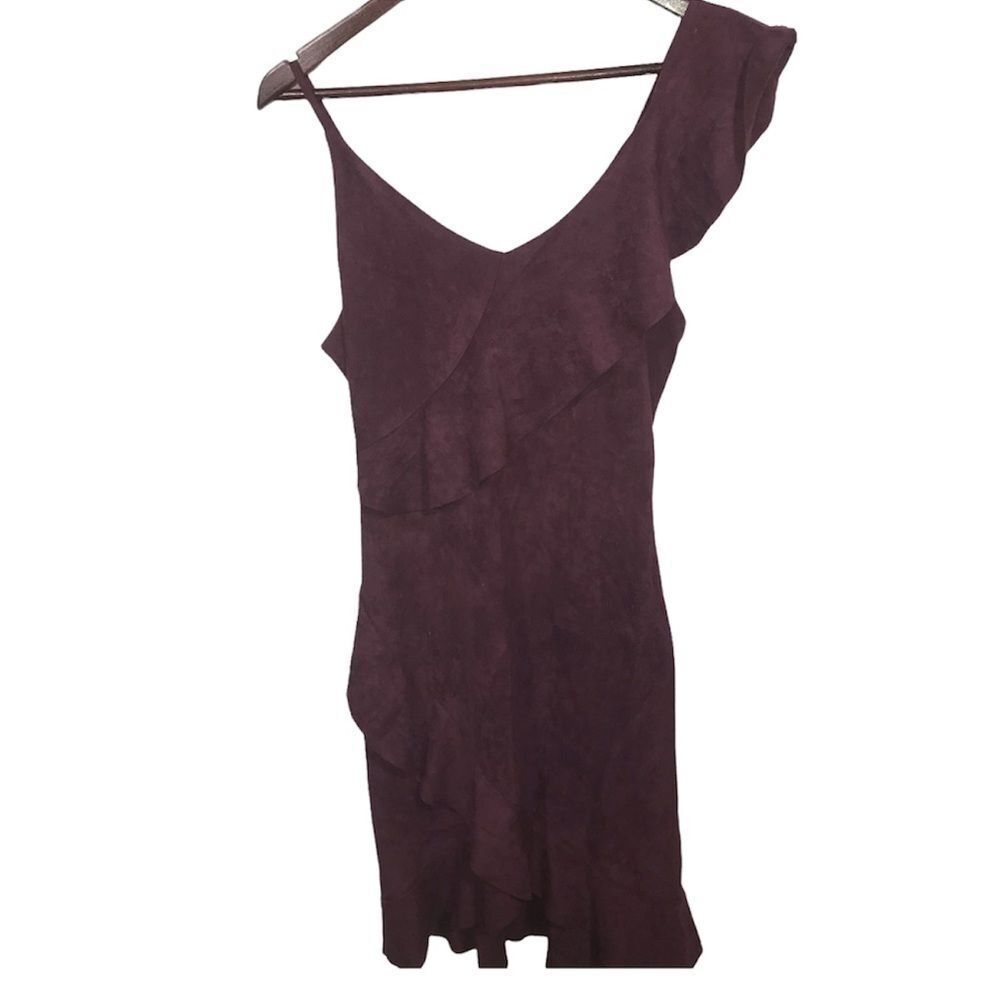Luxe Apothetique Dark Purple Ruffle Dress